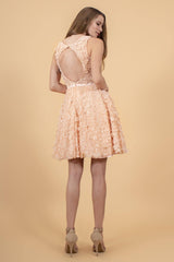 3D Floral Applique Lace Short Dress